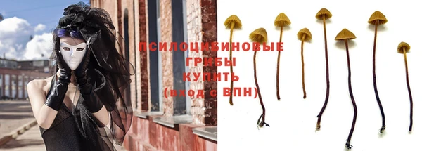 спайс Строитель