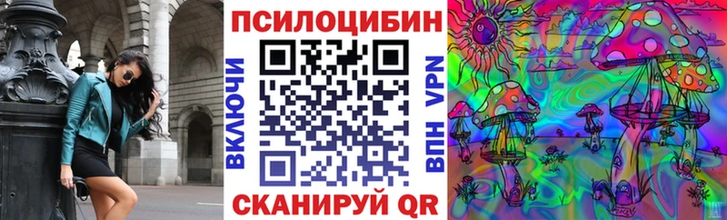 Псилоцибиновые грибы Cubensis  Малоярославец 